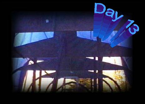 Day 13