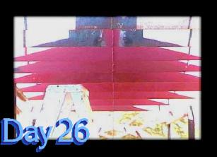 Day 26