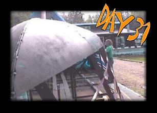 Day 31