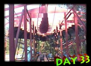 Day 33