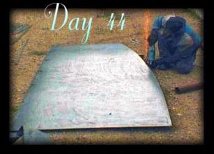 Day 44