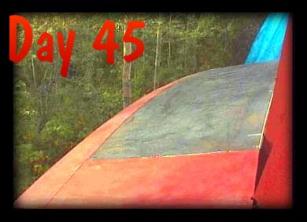 Day 45