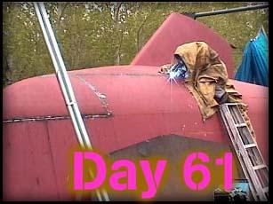 Day 61